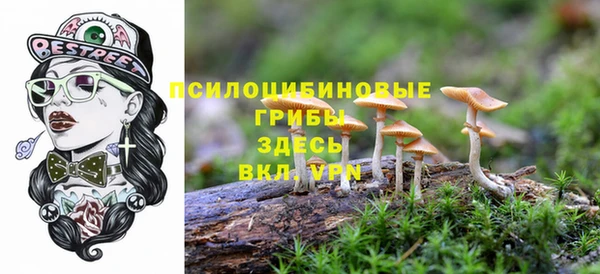 дмт Абинск